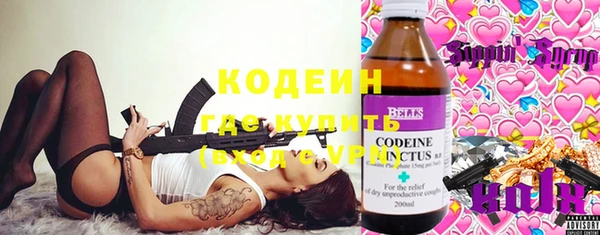 крисы Баксан