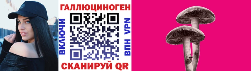 mega как войти  Покачи  Псилоцибиновые грибы Psilocybine cubensis 